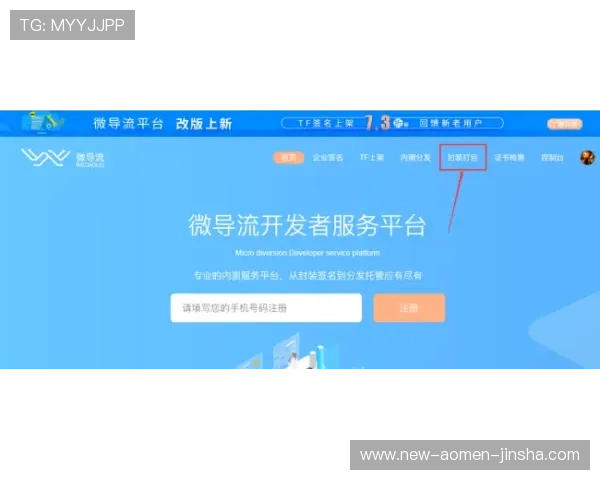 如何通过金沙网站登录入口快速进入游戏大厅，提供详细操作流程与注意事项